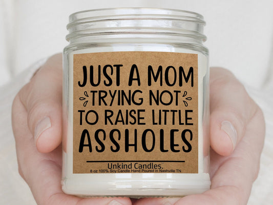 Just a Mom trying not to Raise Assholes, Funny Mothers Day Gift. Hand Poured Soy Candle. Young Mom, First Time Mom, Wife, Girlfriend